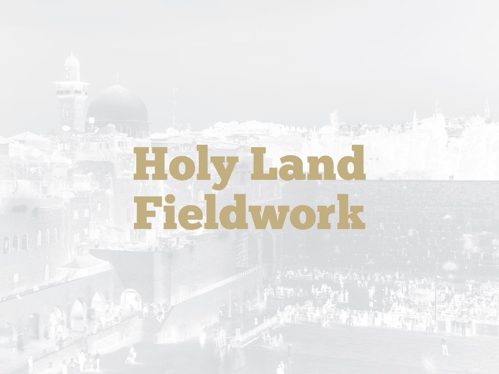 holy land fieldwork