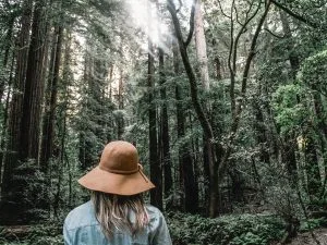 A women looking at the treetops of a forest